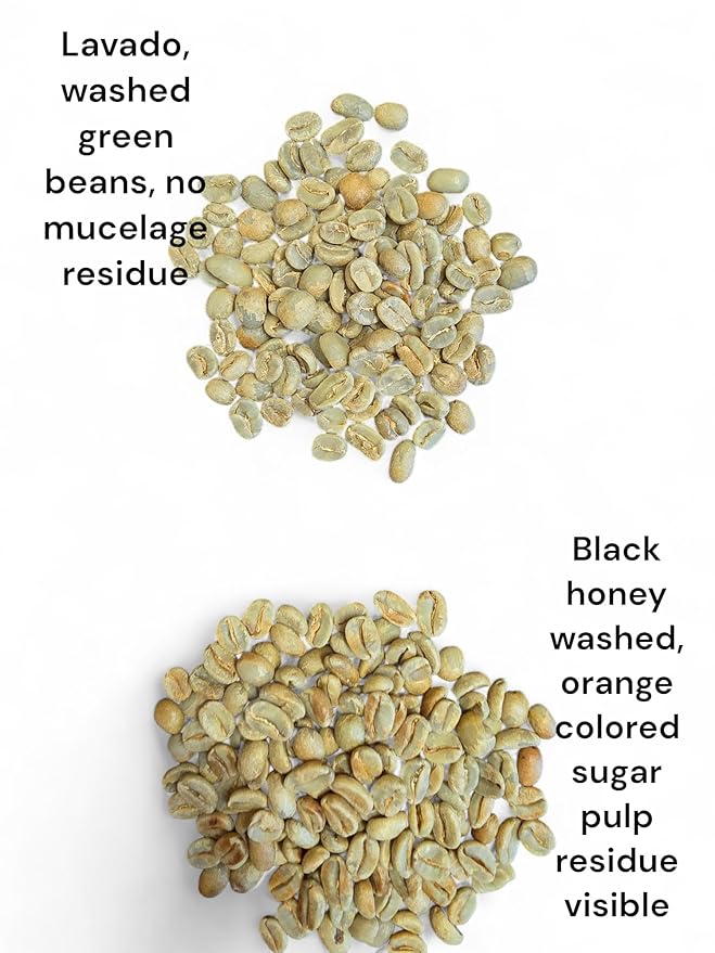 Tesoros Del Pais Green Unroasted Coffee Beans Ahuachapan, El Salvador Single Estate High Elevation (Honey washed, 5 lb)