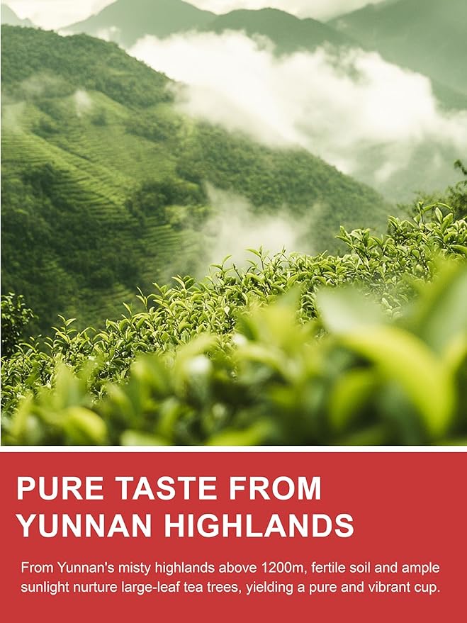 TeeLux Black Tea Loose Leaf, Premium Yunnan Black Tea, Floral Aroma, Smooth & Full-bodied Taste, Hot & Iced Tea, 16oz