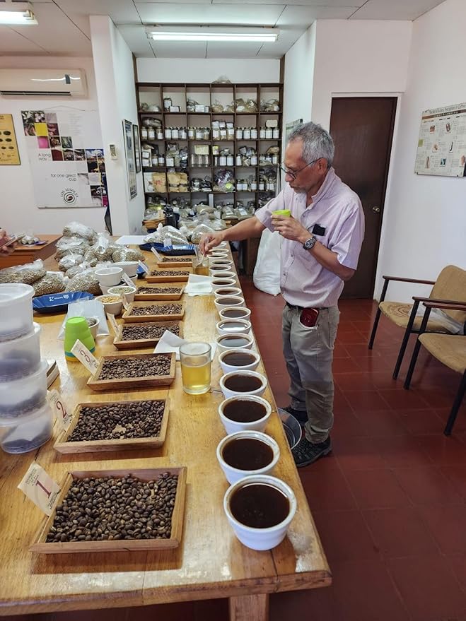 Tesoros Del Pais Green Unroasted Coffee Beans Ahuachapan, El Salvador Single Estate High Elevation (Wet Milled, 3 lb)