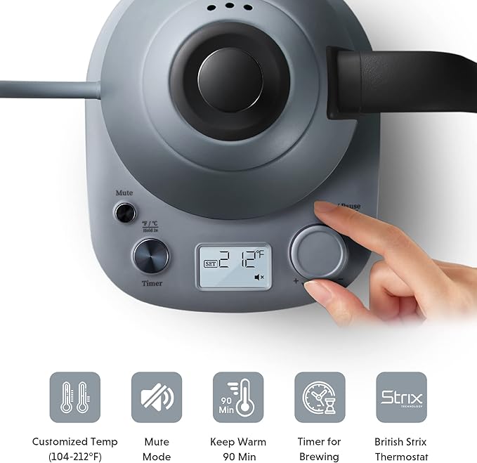 BUYDEEM K821 Electric Gooseneck Kettle with Variable Temperature Control, Pour Over Coffee Tea Kettle, Durable 18/8 Stainless Steel, Auto Keep Warm & Built in Brewing Timer, 0.8L