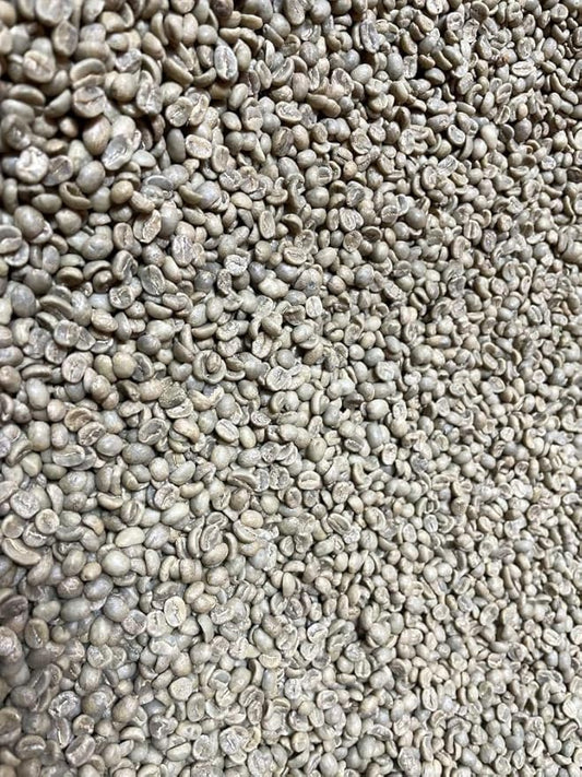 5-Pound Guatemala Antigua, Unroasted Green Arabica Coffee Beans, Fresh Current Crop Specialty Grade, Roast the Beans Yourself at Home on Your Roasting Equipment Prior to Using for Brewing Coffee
