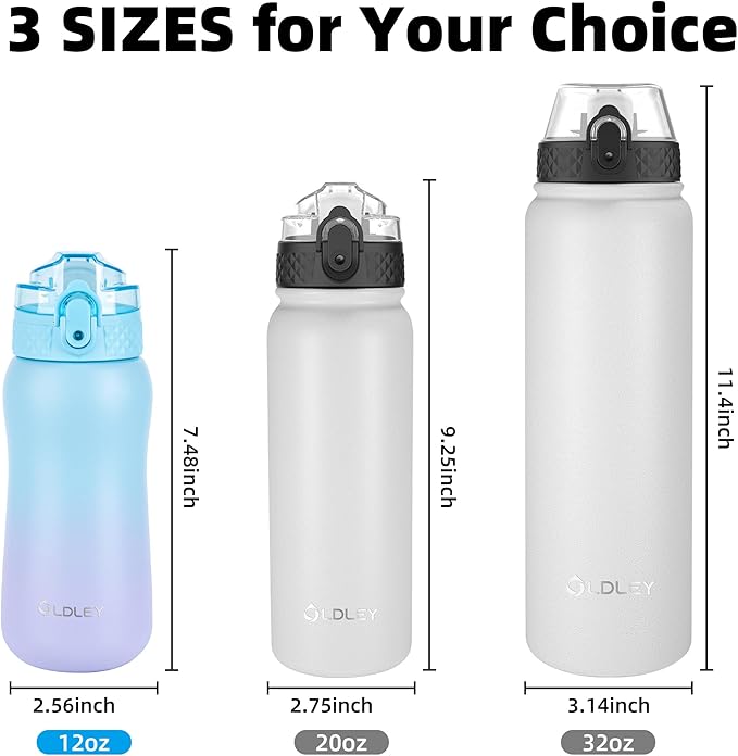 OLDLEY Insulated Kids Water Bottle, 12oz, Stainless Steel, Double Wall Vacuum, Leak-Proof, School Travel, Ombre Blue-purple