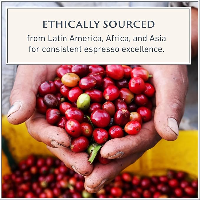 Filicori Zecchini Italian Espresso Beans – Whole Bean Coffee Medium Roast Arabica & Robusta Blend – Low Acidity, Slow Roasted – Delicato 340g