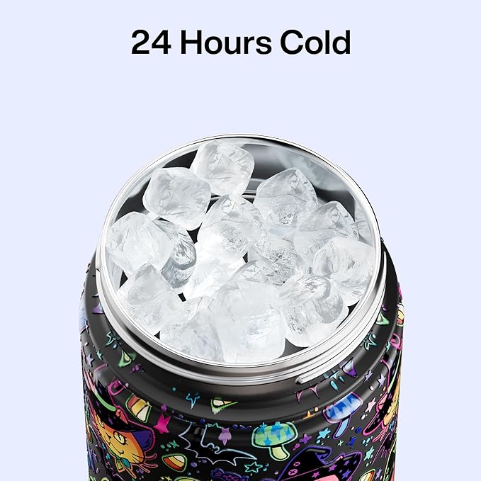 ENCOOL Insulated Water Bottle with Straw Stainless Steel Water Bottle, Leak-Proof, BPA-Free, Double Wall Vacuum Keeps Cold for 24 Hours for Sports, Travel, School (26 oz, Meowgic Night)