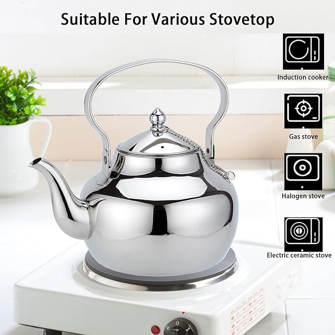 68oz Stainless Steel Teapot with Removable Filter, Portable Coffee Pot for Loose Leaf Tea Bags, Metal Gooseneck Kettle, 2 Liter Hot Water Kettle Boiling Pot, Silver