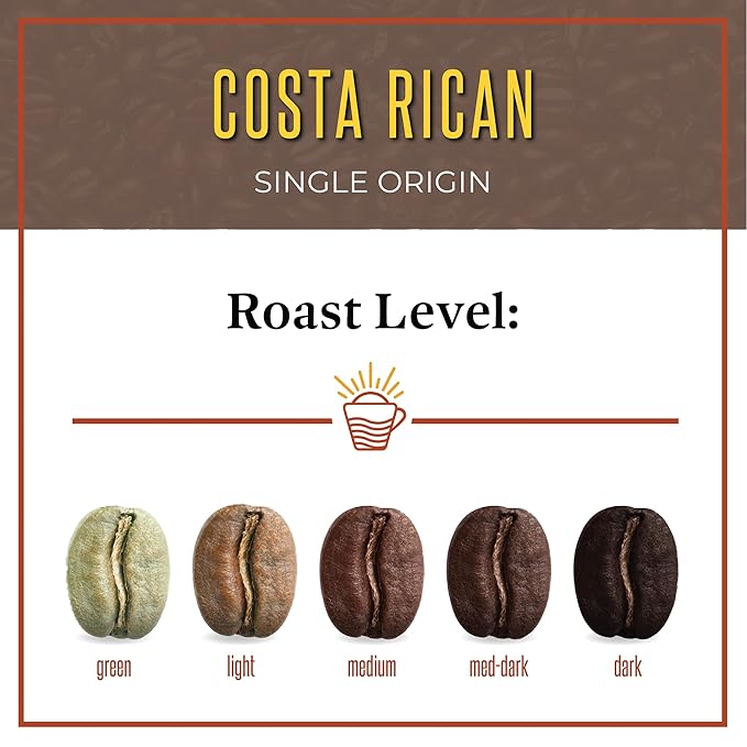 San Diego Coffee Costa Rican, Medium Roast, Ground Coffee, 16-Ounce Bags (Pack of 2) Café molido tostado