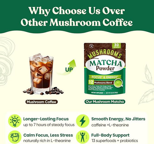 Venture Pal SUPERFOODS Mushroom Matcha Powder – 12 Adaptogenic Mushroom Coffee Alternative with 1.5B Probiotics & L-Theanine, First Harvest Ceremonial Matcha for Focus & Energy, 30 Servings