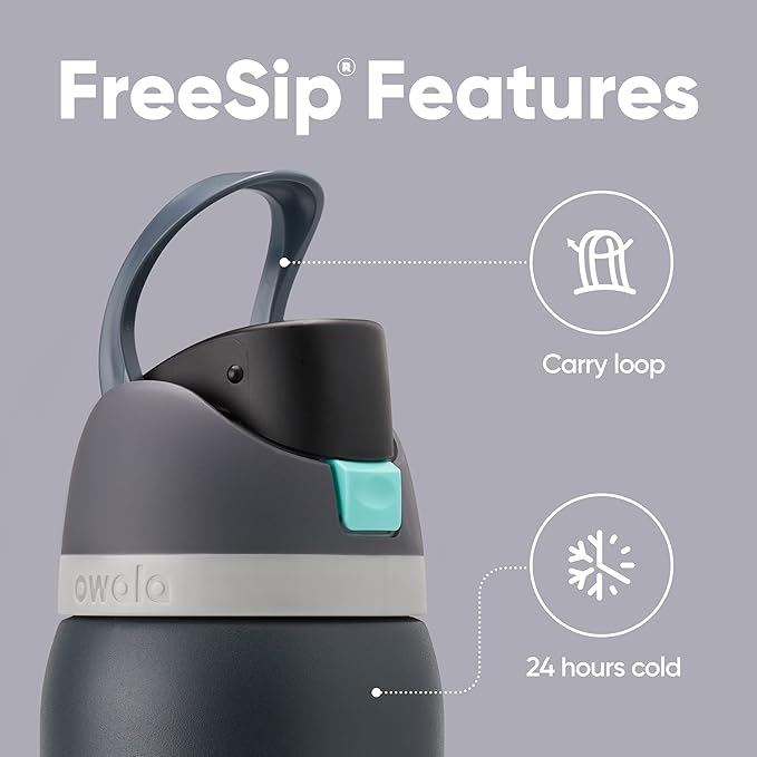 Owala FreeSip 32oz Insulated Stainless Steel Water Bottles with Straw 2-Pack in Foggy Tide and Boneyard