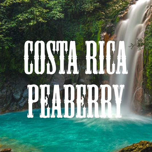Coffee Connoisseur Gift Box, Whole Bean Peaberry, Jamaica Blue Mountain, Costa Rica, Brazil, Bolivia, Fresh Roasted, 4 x 16-ounce Bags