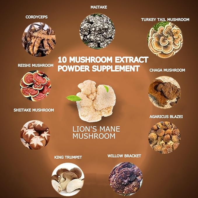 Mushroom Coffee, 10 Mushroom Extract Powder Blend Lion's Mane, Reishi, Chaga, Cordyceps, Turkey Tail, Brain Supplements with Instant Coffee for Energy, Focus, Memory and Immunity 300g