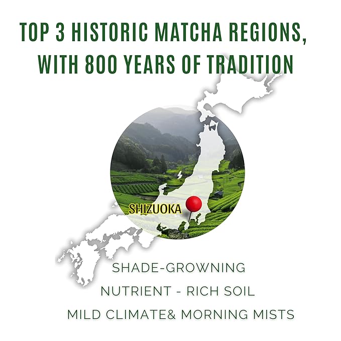 Satoen Authentic Japanese Ceremonial Grade Matcha Powder - BULK BAG - 100% Spring Premium First Harvest - Matcha Crafted for Café & Businesses (1000g/2.2lbs)
