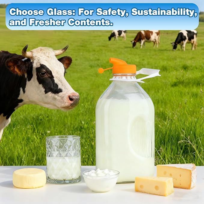 2 Quart (64 Oz) Glass Milk Bottle with Handle, Water Jug with Scale/Nut Milk Bag/Pour Spout/Airtight Lid, Reusable Carafe Container Pitcher for Milk, Tea, Juice, Coffee Beverage-1/2 Gal 1 Pack