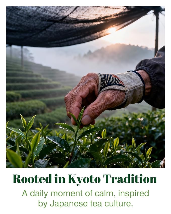 HAYASHIYA Matcha Powder Ceremonial Grade in Tin - Organic Japanese Green Tea from Kyoto 30g - First Harvest Stone-Ground for Lattes, Smoothies, Baking - Superfood Antioxidant Clean Energy Boost