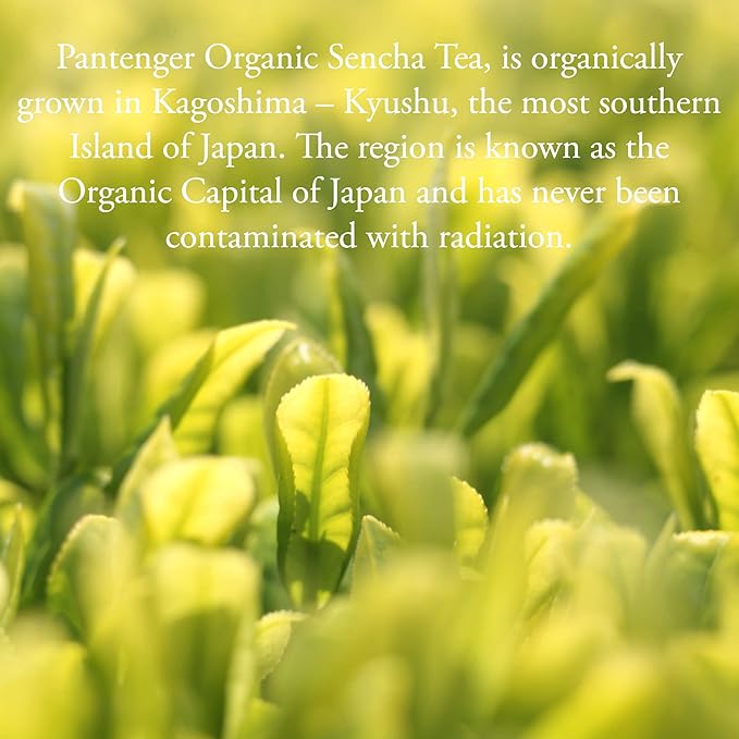 Sencha Green Tea | 3 Oz. First Harvest | Ichiban Cha.Green Tea Loose Leaf. USDA Organic Green Tea | Japanese Tea by Pantenger