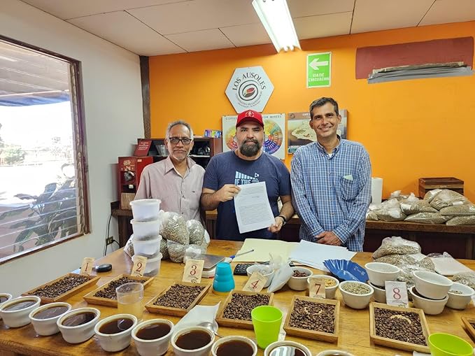 Tesoros Del Pais Green Unroasted Coffee Beans Ahuachapan, El Salvador Single Estate High Elevation (Wet Milled, 3 lb)