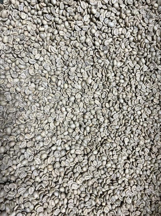 2-Pound Guatemala Washed Processing, Unroasted Green Coffee Beans, Fresh Current Crop Specialty Grade, Roast the Beans Yourself at Home on Your Roasting Equipment Prior to Using for Brewing Coffee