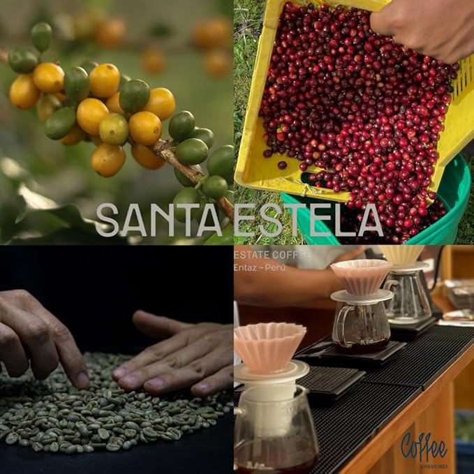 Coffee Adventures Green Unroasted Coffee Beans From Peru - Finca Santa Estela Single Estate Blend - Caturra, Catuaí, Catimor, Typica, Bourbon Blend - Direct Trade Green Coffee Beans for Coffee Roaster | 5 lb