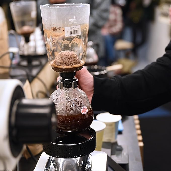 HARIO Technica Two Cup Coffee Siphon, 240ml