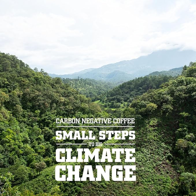 Tiny Footprint Coffee - Fair Trade Organic Peru APU Medium Roast - Whole Bean Coffee, USDA Organic & Carbon Negative - You Drink Coffee, We Plant Trees, 3 Pounds