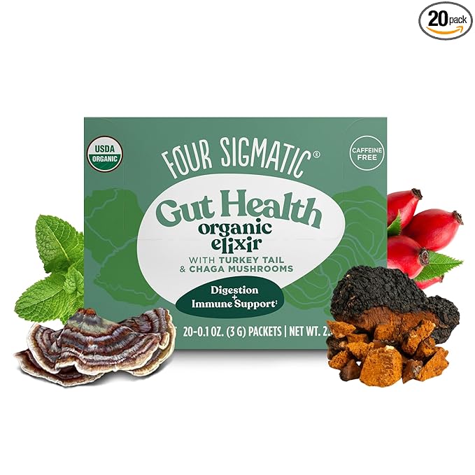 Chaga Mushroom Elixir by Four Sigmatic | Coffee Alternative with Organic Chaga Mushroom Powder, Rose Hips & Mint | Immune Support & Overall Wellness | Pack of 20