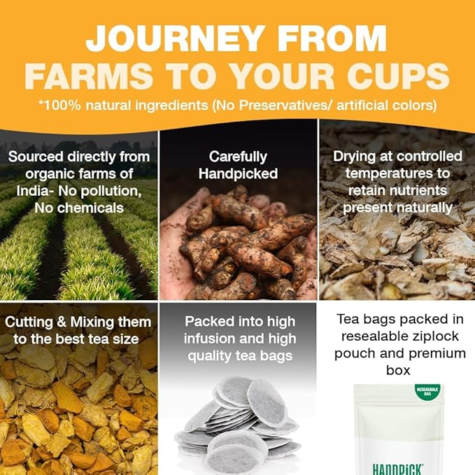 HANDPICK, Organic Turmeric Ginger Tea (100 Tea Bags) | Indian Origin | Caffeine Free, Gluten Free, Non-GMO | Savory & Spicy I Ecofriendly round tea bags