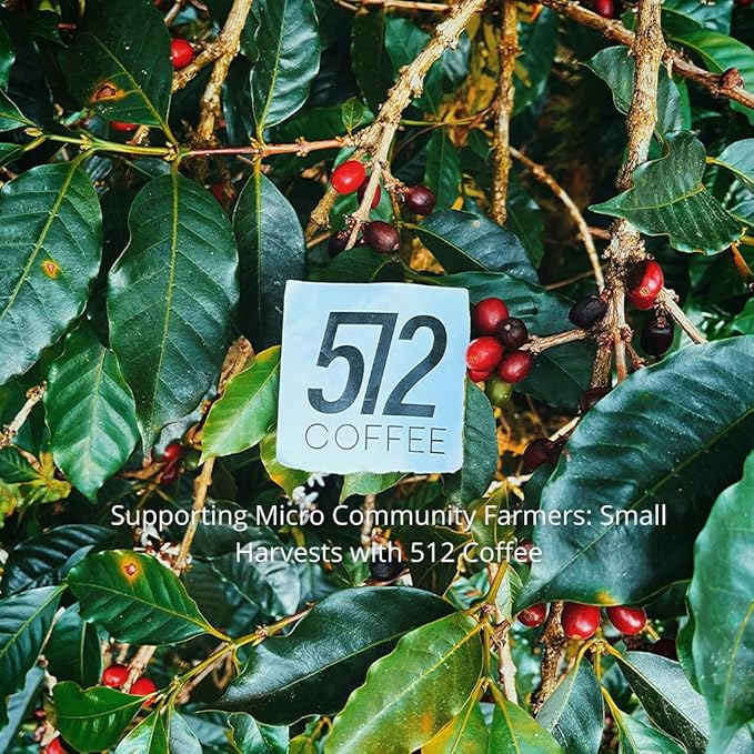 512 Coffee Ethiopia Yirgacheffe Light Roast Whole Bean – Single Origin Specialty Coffee with Tasting Notes of Raspberry, Honey & Floral – Fresh Roasted for Filter Brewing