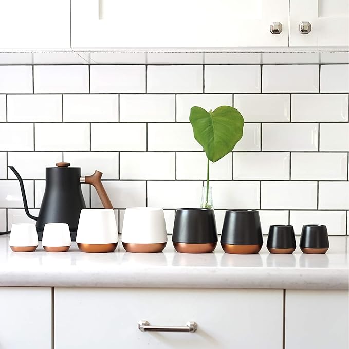 Fellow Big Jo' Double Wall Ceramic Coffee Mug - Refined and Sophisticated, Matte White, Single 12 oz Cup