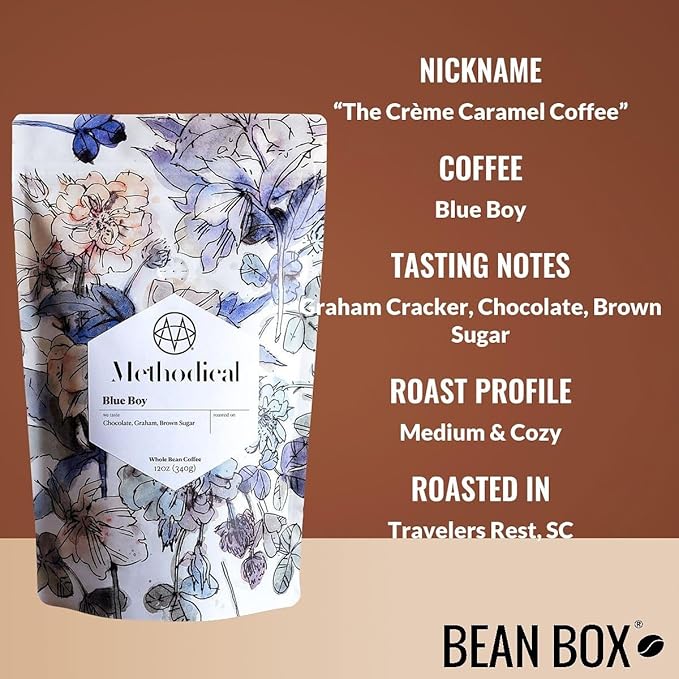 Blue Boy - Roasted by Methodical Roasting - Whole Bean Coffee - 2 Pound Bag