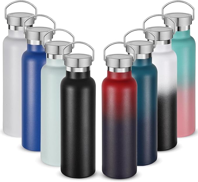 Neihepal 20 oz Insulated Water Bottles,Stainless Steel Double Wall Sport Bottle with Lid of Handle (8, Eight Color)