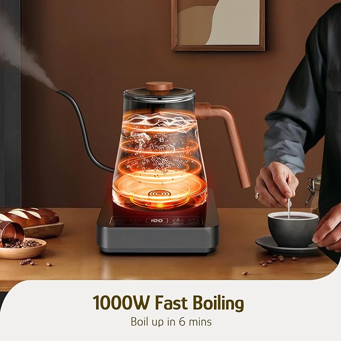 Hazel Quinn Gooseneck Electric Kettle