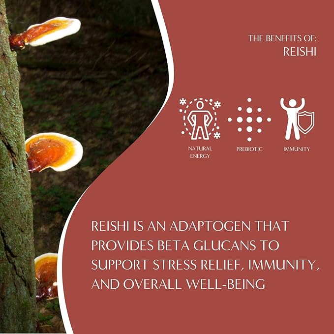 Teeccino Reishi Eleuthero Coffee Alternative - French Roast - Organic Adaptogenic Herbal Mushroom Coffee, Dark Roast, Caffeine Free, Prebiotic, Acid Free, All-Purpose Grind - 10 Oz (Pack of 6)
