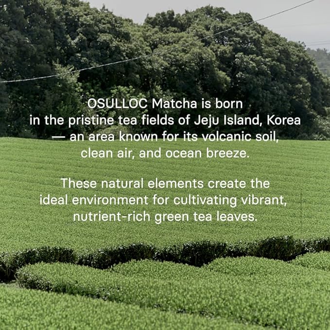 OSULLOC Premium Matcha Powder for lattes, Ceremonial Grade Korean Matcha, Premium Organic (USDA) Pure Leaf Green Tea from Jeju, 1.41 oz, 40g
