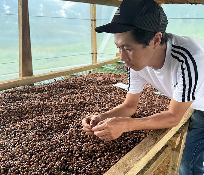 Excelsa Coffee – Vietnam Green Coffee Beans, Unroasted, 5 lbs | Rare Species, Home Roasting, Bright Fruity Flavor, Low Caffeine