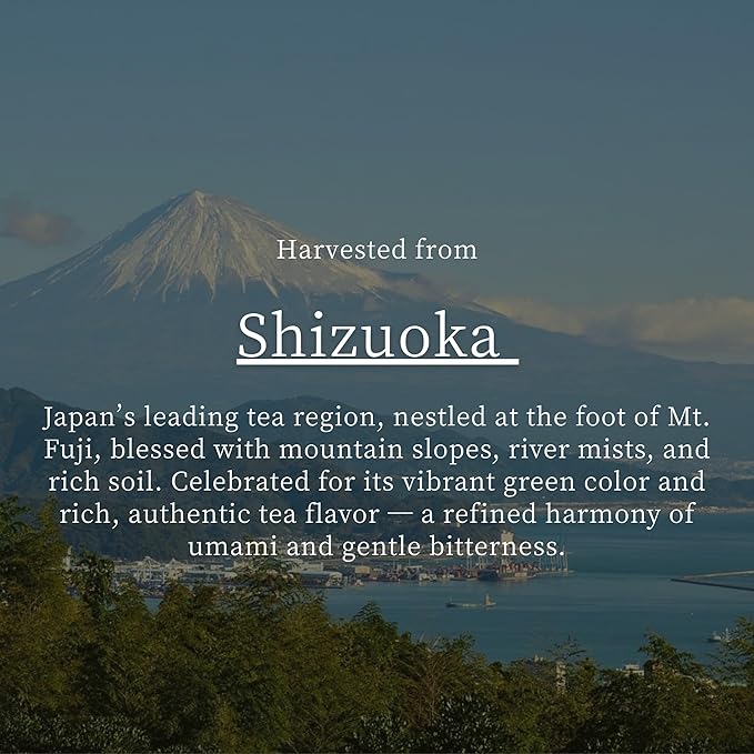 Shizune Matcha, Shizuoka Harvest Essential Grade – Authentic Japanese Matcha Green Tea Powder, 80g (2.8 oz) Bag