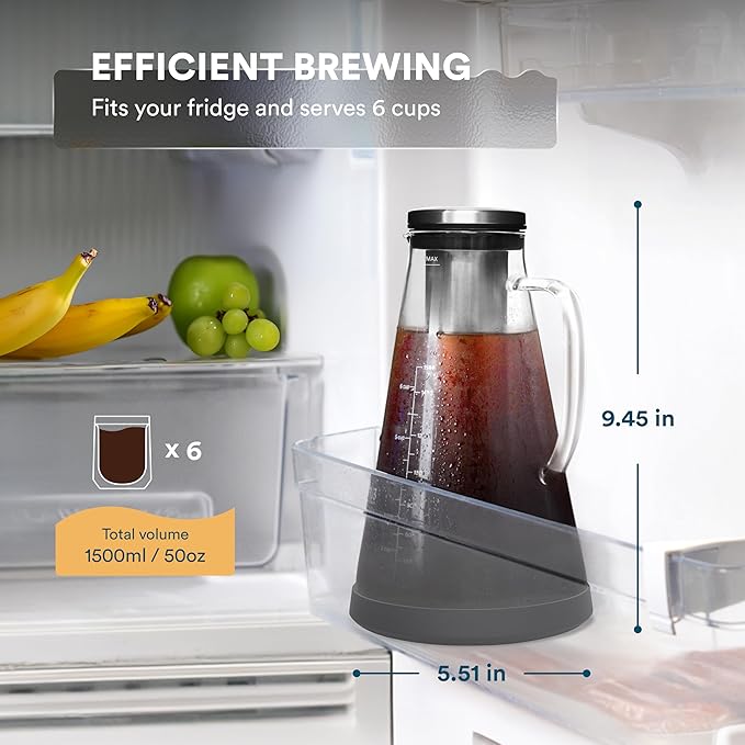 ovalware Double Wall Single Lip Insulated Glass Minimalistic Double Wall Drinkimg Mug with Airtight Cold Brew Iced Coffee Maker Pitcher RJ3 Brewing Glass Carafe with Removable stain