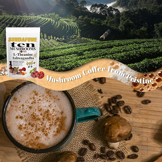 SUNDAFONE Mushroom Coffee with L-Theanine, Ashwagandha,Lion's Mane, Reishi and 10 Adaptogenic Mushrooms; Super Instant Cold Brew Protein Iced Coffee Blend; 0g of Sugar, Low Caffeine, 30 Servings