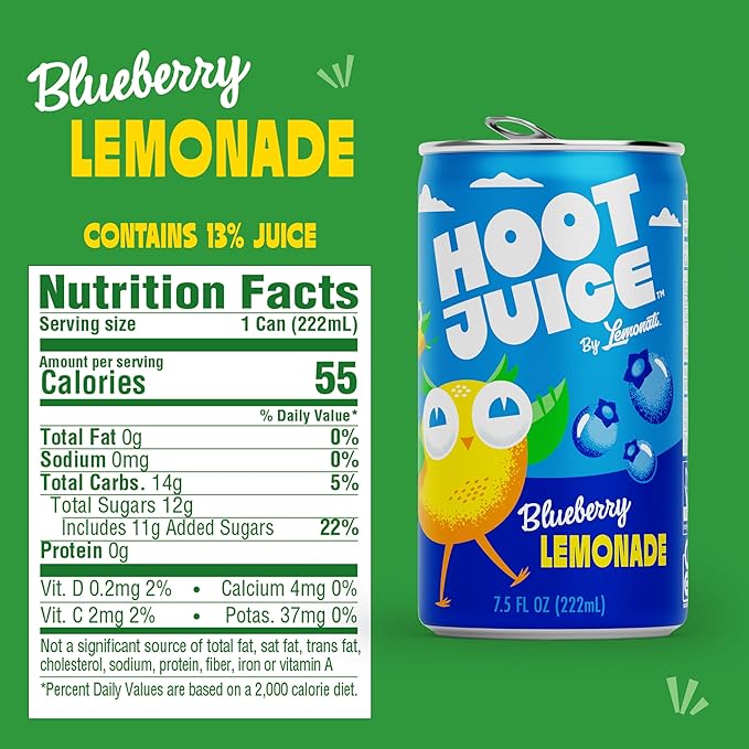 Hoot Juice Lemonade By Lemonati, No Artificial Sweeteners or Flavors, Gluten-Free, Kosher, Non-GMO, Vegan, 7.5 Fl Oz Mini-Cans, Pack of 12, Blueberry