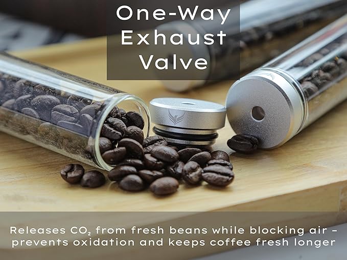 Single Dose Coffee Bean Storage Tubes Espresso Bean Cellar 12pcs One-Way Exhaust Valve Lids Glass Dosing Vials With Walnut Stand & Stainless Steel Funnel