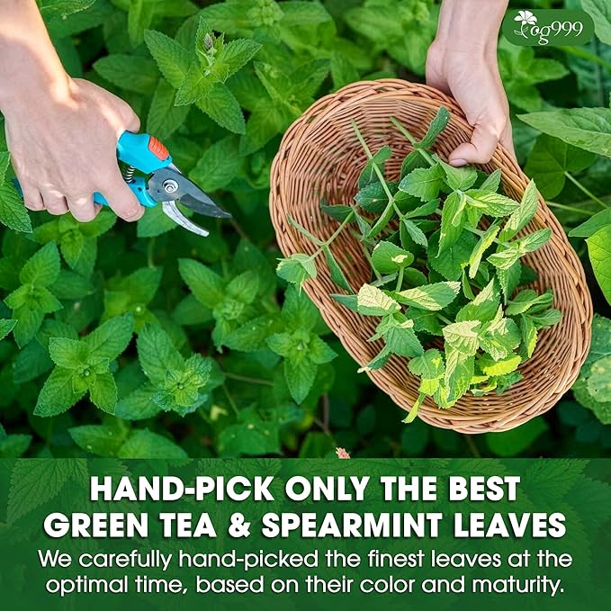 TOG999, Premium Moroccan Mint Green Tea | 30 Tea bags | Traditional Green Tea with Spearmint – Refreshing Flavor, Premium Quality Herbal Blend. Gluten-Free. Vegan