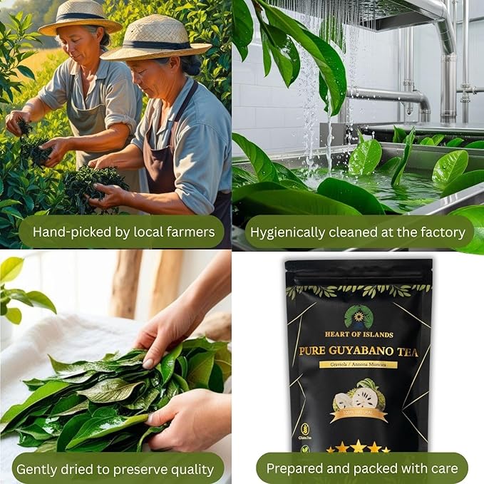 Heart of Islands KOSHER & HALAL Certified Soursop Tea Bags (2g Each) – Premium Guyabano (Graviola) Leaves from the Philippines – Organic Herbal Tea Bags Caffeine Free with Zero Calories 15 Count - Pack of 3