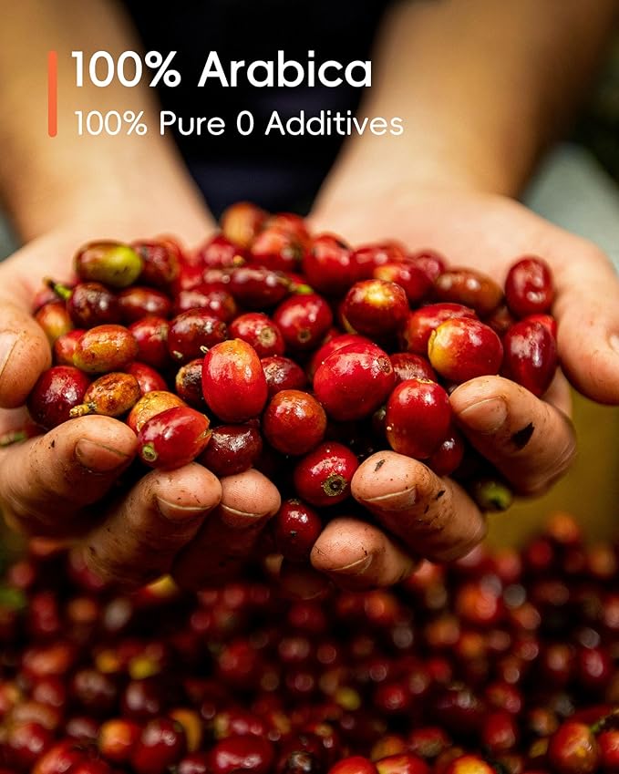 Rami Coffee Cold Brew Freeze Dried Instant Coffee Powder, Various Roast 100% Arabica, 6 Portable Flavors Taster Single Packets for Home Travel Backpacking Camping