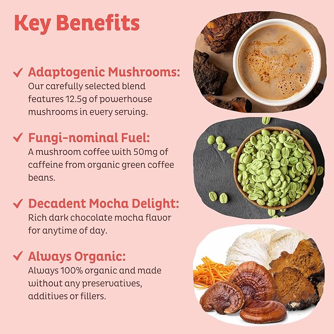 KOS Mushroom Coffee - USDA Certified Organic - Dark Chocolate Mocha Flavor - Mushroom Coffee Latte Powder with Reishi, Cordyceps, Lion's Mane, Chaga & Turkey Tail Mushrooms