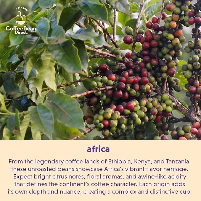 Coffee Bean Direct Unroasted Kenya AA, 5 Pound (Pack of 1)