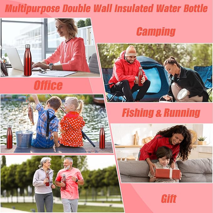 Sfee Insulated Water Bottle, 17 oz Stainless Steel Water Bottles, Double Wall Vacuum Reusable Water Bottles Leak Proof BPA-FREE Sports Bottle Cup Keep Hot&Cold for Running Gym Workout Cycling Kids
