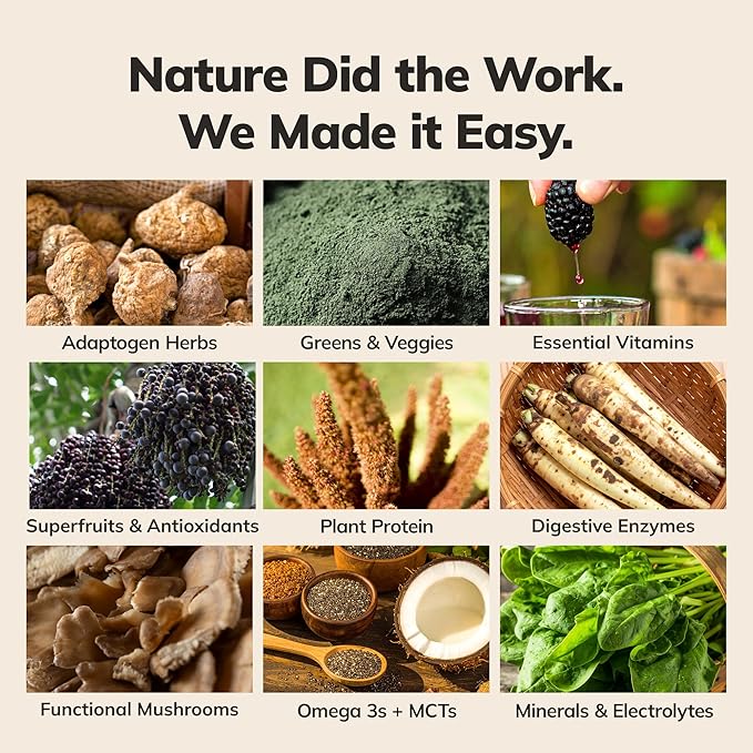 Ka’Chava Whole Body Meal Shake Chocolate Mint 2 lb – Vegan Protein Powder with 85+ Superfoods & Greens – Plant-Based Meal Replacement with Probiotics & Digestive Enzymes – Gluten & Dairy Free