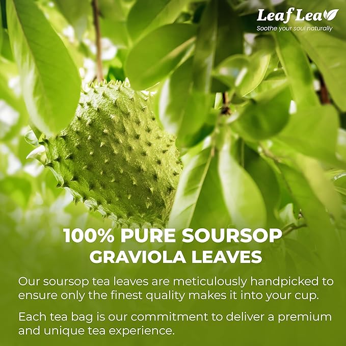 LeafLea 240 Premium Soursop Leaf Tea Bags, 100% Dried Soursop Graviola Leaves with a Smooth, Earthy Flavor, Hoja Guanabana Leaf Herbal Tea Bags for Natural Digestion Support, No Caffeine, Sugar-Free