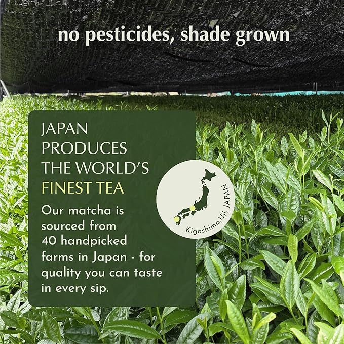 Encha Matcha Latte Powder - Keto Collagen Matcha Powder - First Harvest - Premium Japanese Macha - 150g / 5.3oz