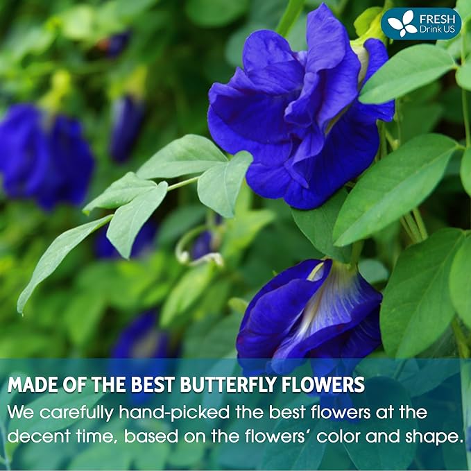 FreshDrinkUS, Premium 16oz Blue Butterfly Pea Flowers Dried – Premium Whole Flower Herbal Tea – Vibrant Blue Natural Color – Caffeine-Free Loose Flower Tea. Vegan