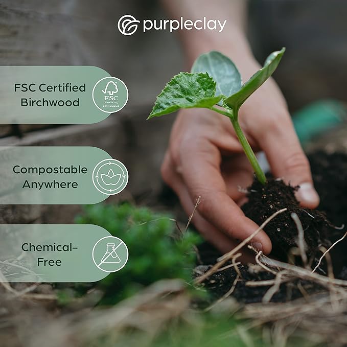 PURPLECLAY Wooden Disposable Forks (300 PCS) FSC Certified Wood Compostable Forks, Eco-Friendly Compostable Utensils for Party, Plastic-Free Wood Utensil, Bamboo Utensils Alternative, Fork for Eating