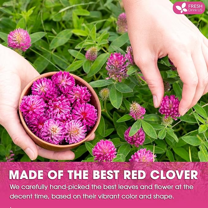 FreshDrinkUS, Premium Red Clover Herbal Tea– 75 Tea Bags – Pure – Naturally Smooth & Mild Flavor – Premium Quality, Eco-Conscious Packaging. Caffeine-Free. Gluten Free. Vegan